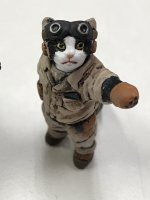 Military uniform cat